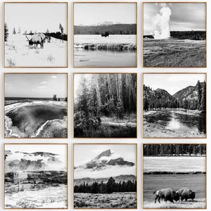 Foto cuadrada en blanco y negro del Parque Nacional de Yellowstone, EE. UU., 9 piezas de arte de pared imprimible: juego de 9 impresiones, galería de descarga digital de moda, regalo