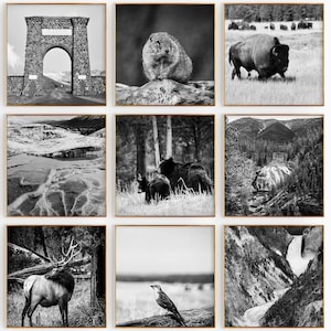 Conjunto minimalista de 9 impresiones cuadradas del Parque Nacional de Yellowstone, EE. UU.: fotografía en blanco y negro, 9 piezas de arte de pared, galería de descarga instantánea de viajes