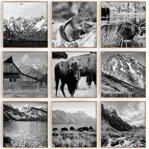 Parc national de Grand Teton, Wyoming, lot minimaliste de 9 impressions carrées - Galerie de photos en noir et blanc, 9 oeuvres d'art murales de voyage, téléchargement immédiat