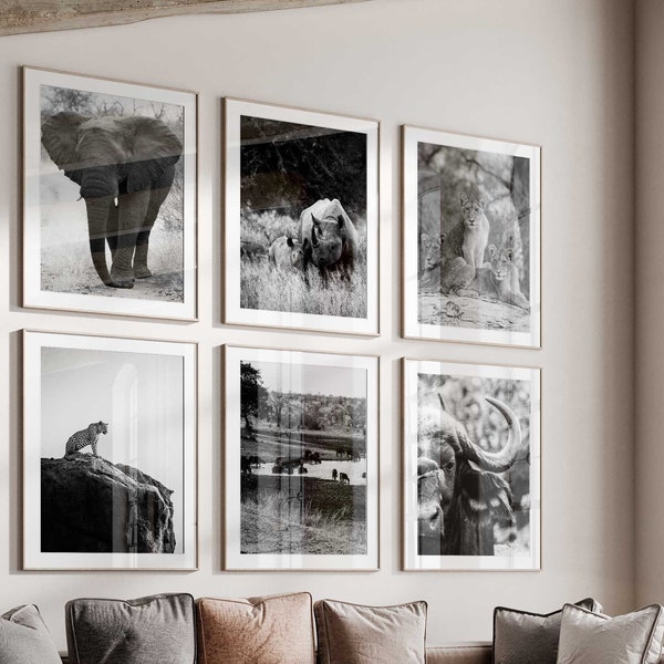 Kruger National Park South Africa Set of 6 Prints – Kruger National Park Black and White Photo 6 Piece Wall Art – Digital Gallery Posters