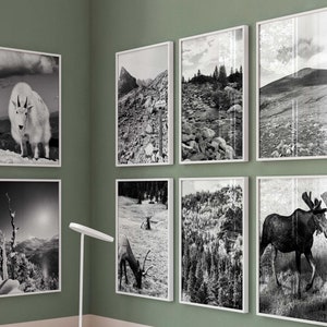 Rocky Mountain National Park Colorado Minimalist Set of 6 Prints – Black and White Photo 6 Piece Wall Art – Travel Instant Download Gallery
