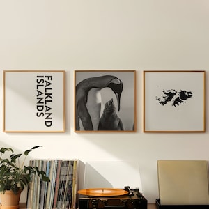 Fotografía en blanco y negro de las Islas Malvinas, arte de pared de 3 piezas – Juego de 3 impresiones para sala de estar – Carteles de la galería de descarga digital de viajes