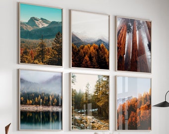Forest Set of 6 Prints - Landscape 6 Piece Wall Art - Nature Gallery Wall Prints - Nordic Printable Wall Art Digital Download Autumn Forest