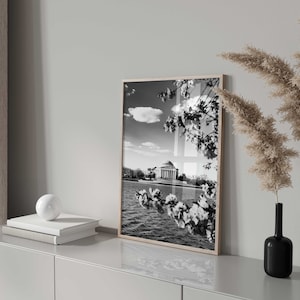 May include: Black and white photograph of a building with a dome, surrounded by trees and a body of water. The building is framed by a white flower blossom.