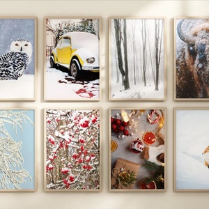 May include: A collage of ten framed images depicting winter scenes. The images include a snowy owl, a yellow car covered in snow, a snowy forest, a bison, a snowy tree branch, a bush with red berries covered in snow, a Christmas ornament, a fox in the snow, and a snowy landscape.