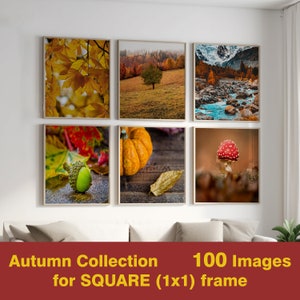 Quadratischer Druck Set mit 100 Herbstpostern - Quadratische Drucke Herbstwandkunst - Herbst quadratische Galeriewandkunst Halloween druckbares quadratisches Foto-Bundle