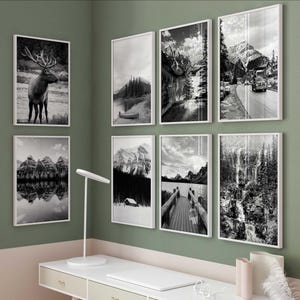 May include: A collection of eight framed black and white landscape photographs. The images depict various natural scenes, including mountains, lakes, forests, and wildlife. The frames are white, and the photographs are hung on a green wall above a desk.