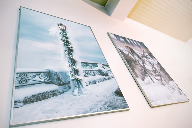 May include: Two framed photographs hanging on a white wall. The left photo shows a lamppost covered in snow and ice with a garland of greenery. The right photo shows a close-up of a deer's antlers in the snow.