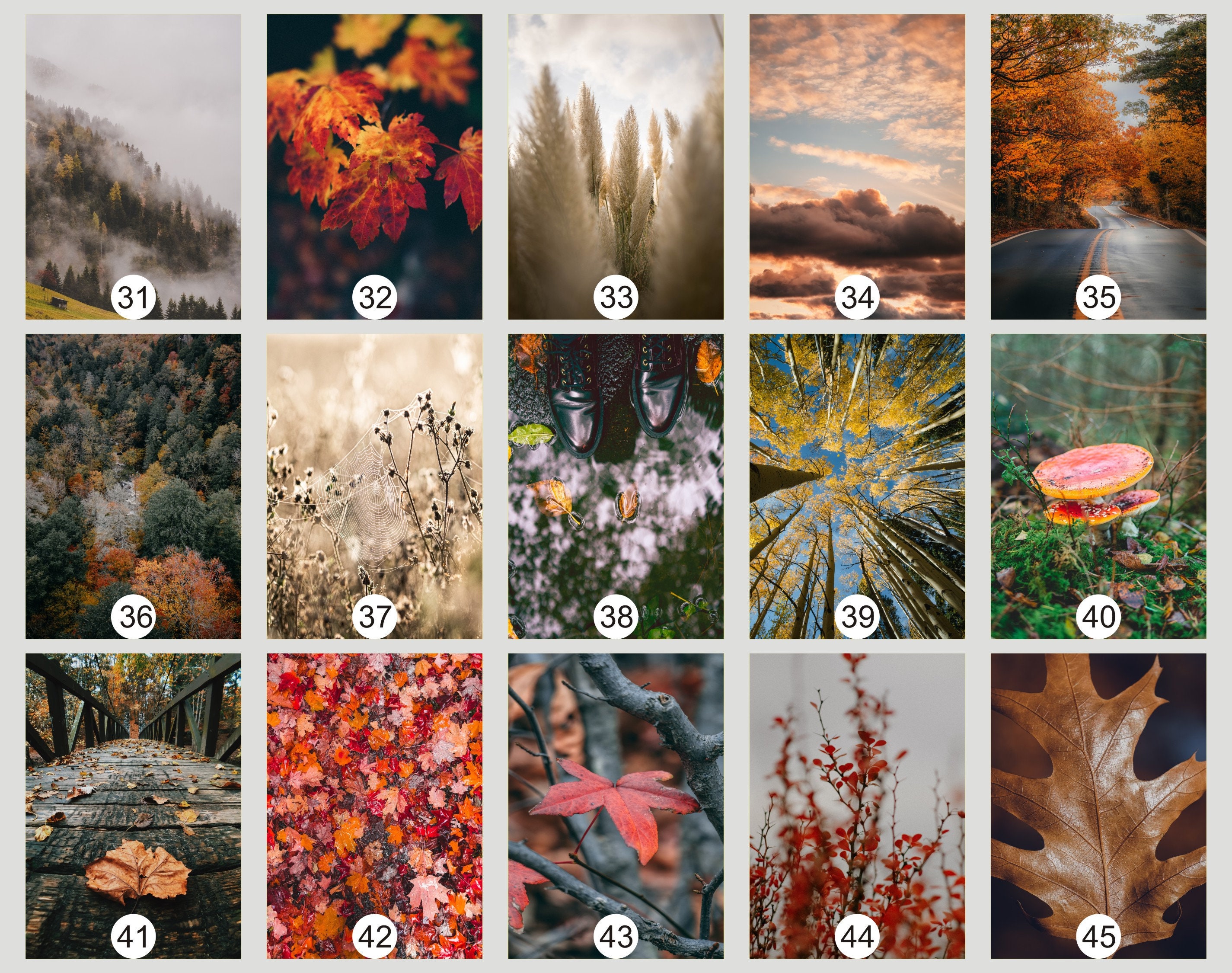 Set of 100 Fall Prints - Fall Wall Art - Autumn Gallery Wall Art ...