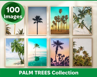Set of 100 Palm Trees Prints - Palm Trees Wall Art Set -  Beach Gallery Printable Photography Poster - Tropical Coastal Photo Decor Bundle