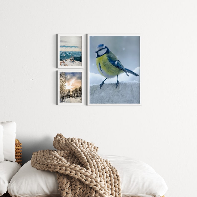 May include: Three framed pictures on a white wall. The top picture shows a snowy mountain range. The middle picture shows a snowy forest with a sunbeam shining through the trees. The bottom picture shows a bluebird perched on a snowy branch.