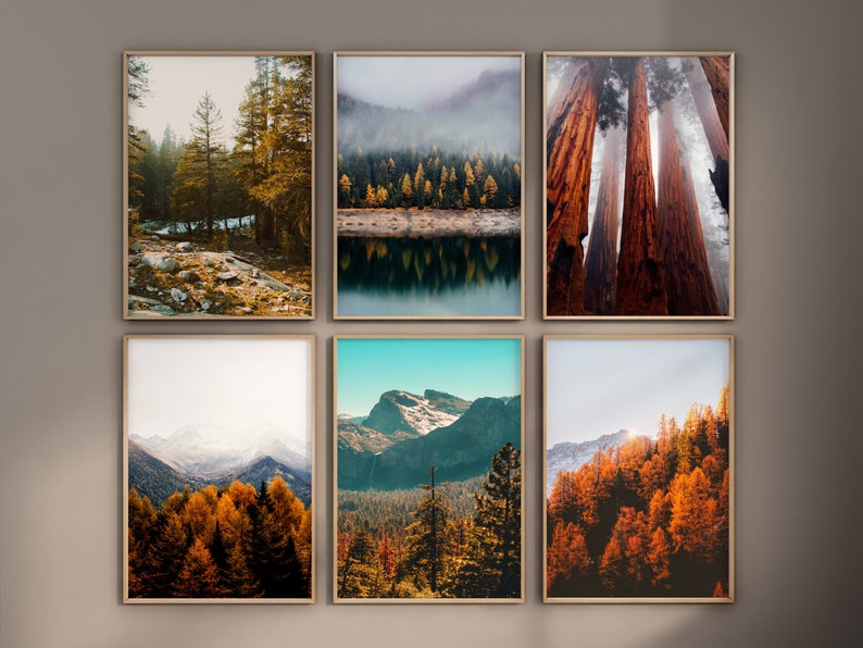 Forest Set of 6 Prints - Landscape 6 Piece Wall Art - Nature Gallery ...