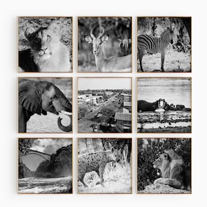 Conjunto estético de 9 impresiones cuadradas de Zimbabue: fotografía en blanco y negro de Zimbabue, 9 piezas de arte mural, pósteres de galería de descarga instantánea para viajes, regalo