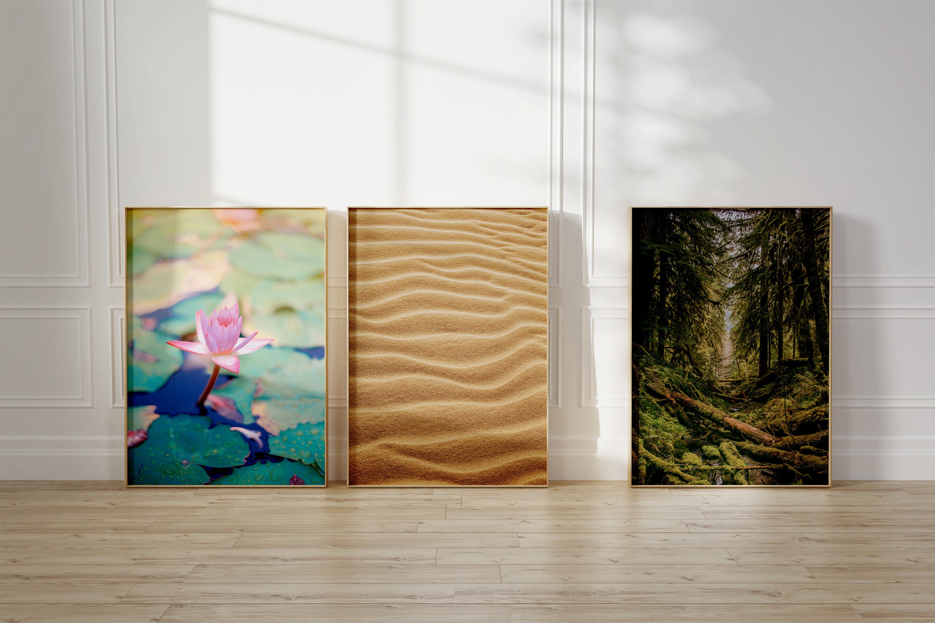 Set of 200 Nature Prints Nature Wall Art Gallery Wall Art Landscape