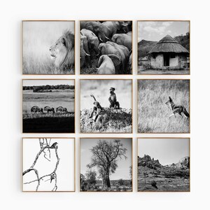 Conjunto minimalista de 9 impresiones cuadradas de Zimbabue: arte mural de 9 piezas con fotos en blanco y negro de Zimbabue. Pósters de galería de descarga instantánea para viajes. Regalo.