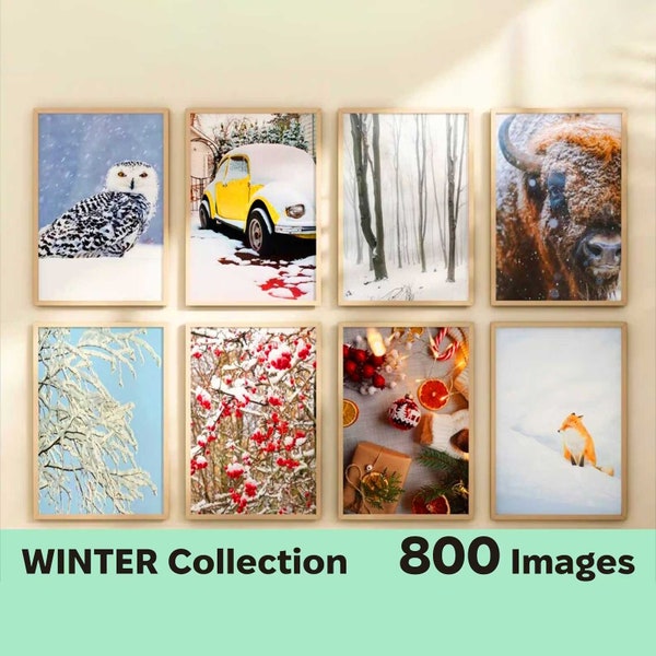 Set of 800 Winter Prints - Winter Wall Art Set -  Christmas Gallery Printable Photography Poster - Snowy Landscape Photo - Winter Home Decor