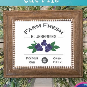 Farm Fresh Myrtilles Svg-Myrtille Signe Svg-Choisissez Votre Propre Svg-Farm Fresh Svg-Myrtille Ferme Svg-Cuisine Svg-Ferme Svg-Myrtille Ferme PNG