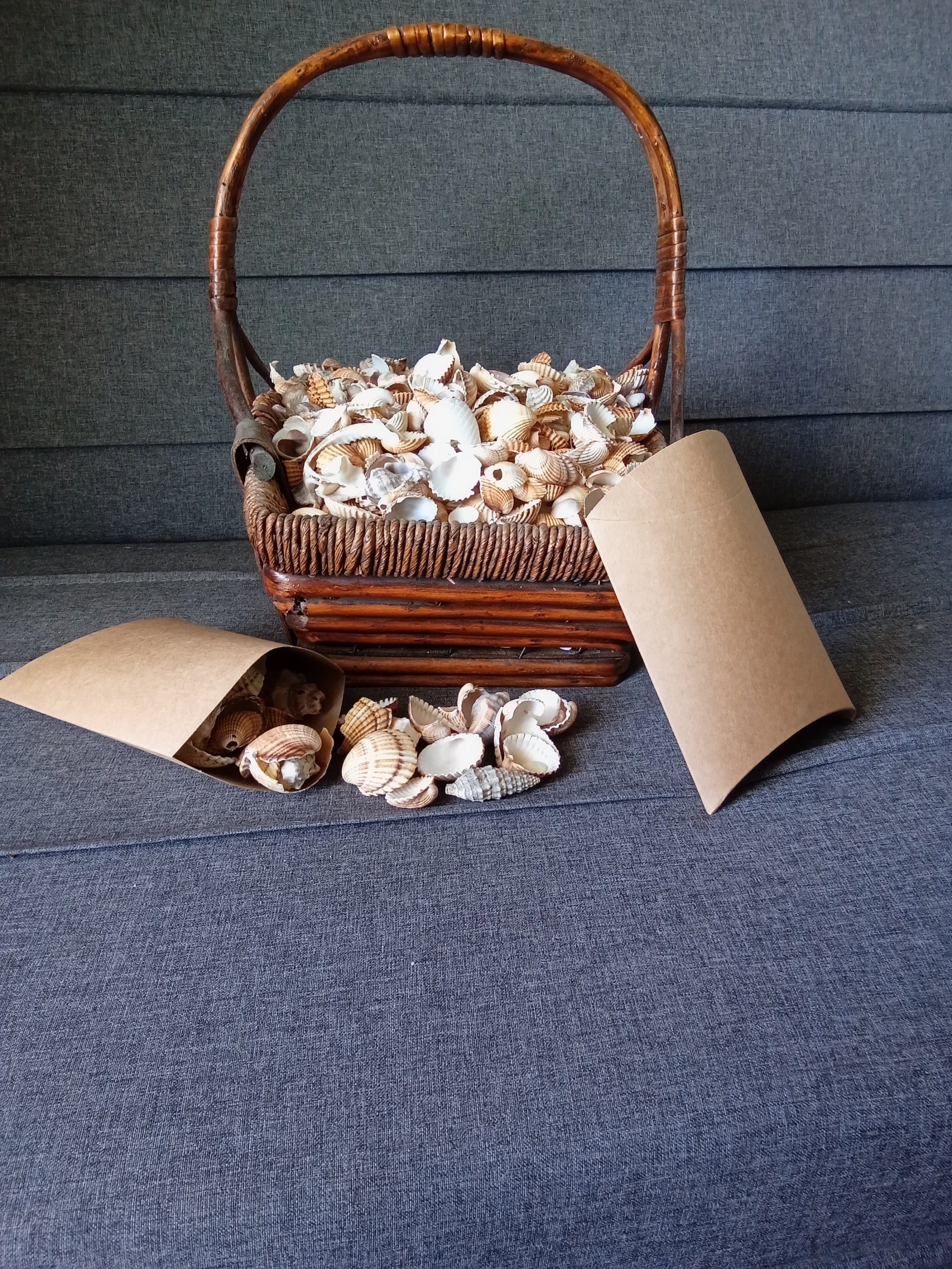 Sea shells and fragments ,mixed 150 gr