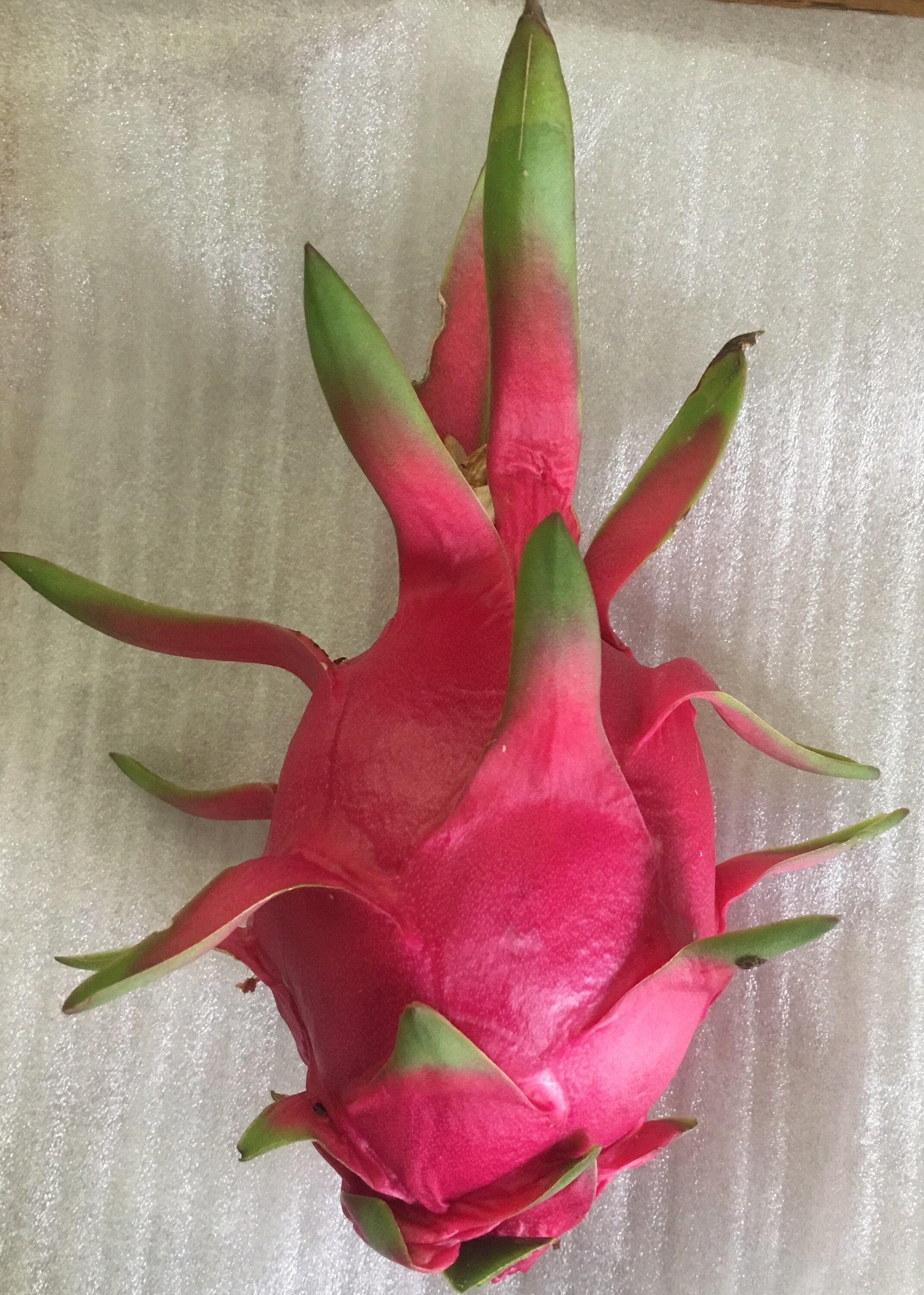 Fruit du dragon blanc pitahaya/pitaya/poire asiatique fraise poire Etsy France