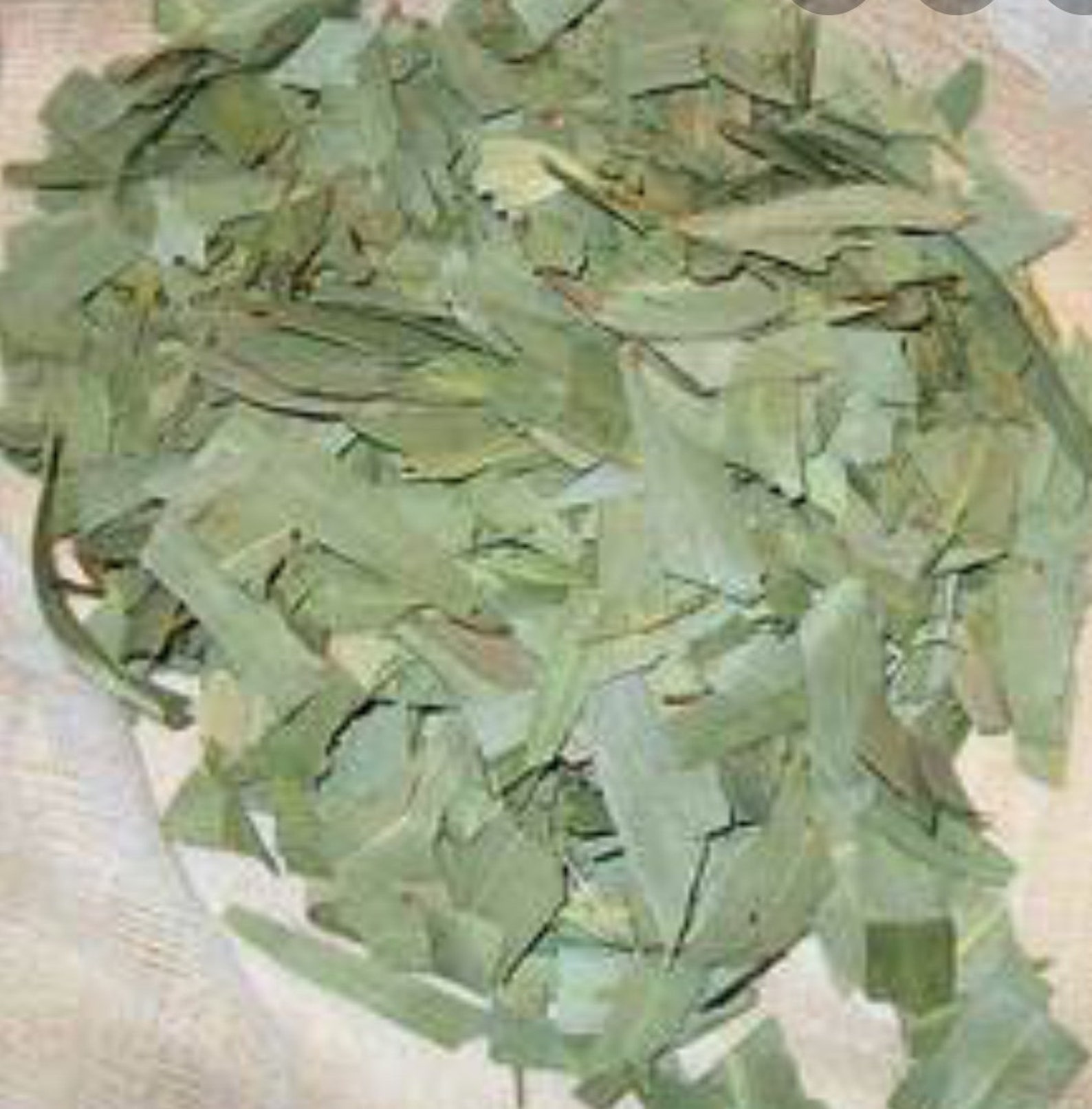 Hojas secas de eucalipto 1oz Etsy