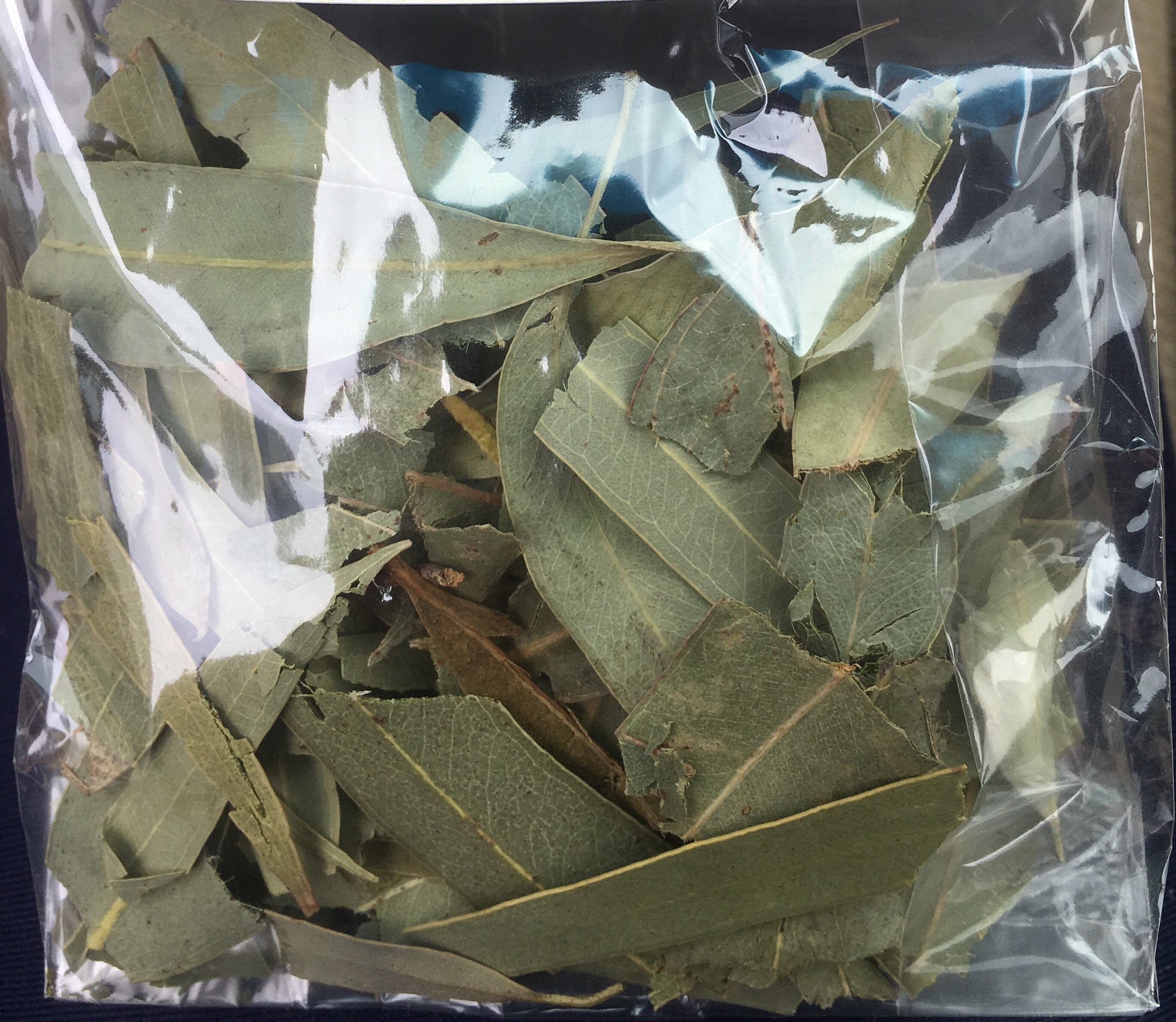 Hojas secas de eucalipto 1oz Etsy