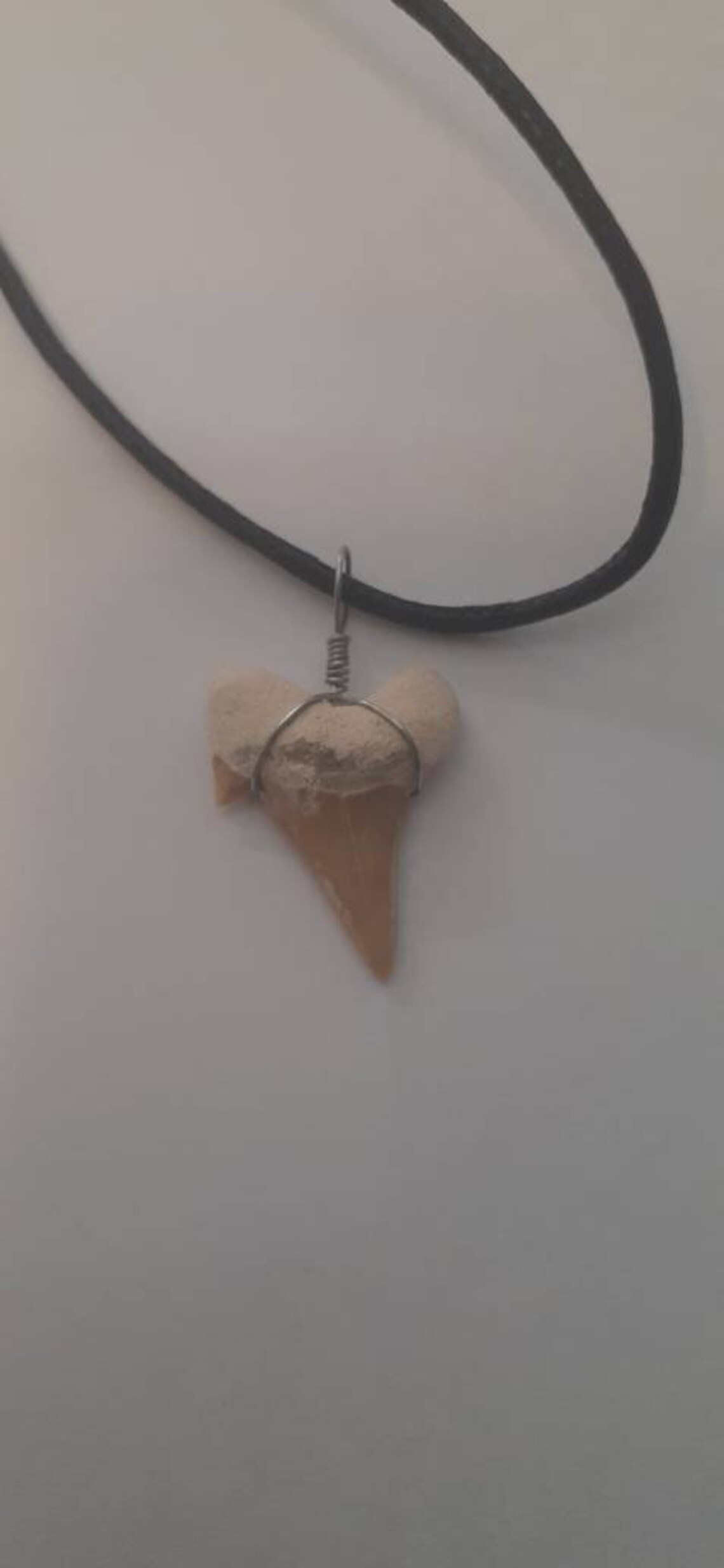 Shark Tooth Necklace Fossilized Sharks Tooth Necklace Boys | Etsy
