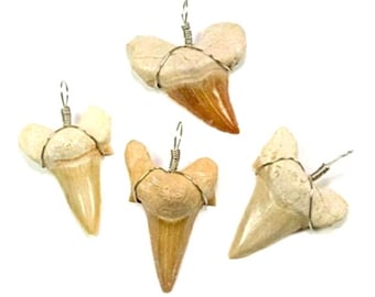 Shark Tooth Necklace, Fossilized Sharks Tooth Necklace, Boys Jewelry, Jewelry for Guys, Real Fossil Jewelry, Stocking Stuffer for Children