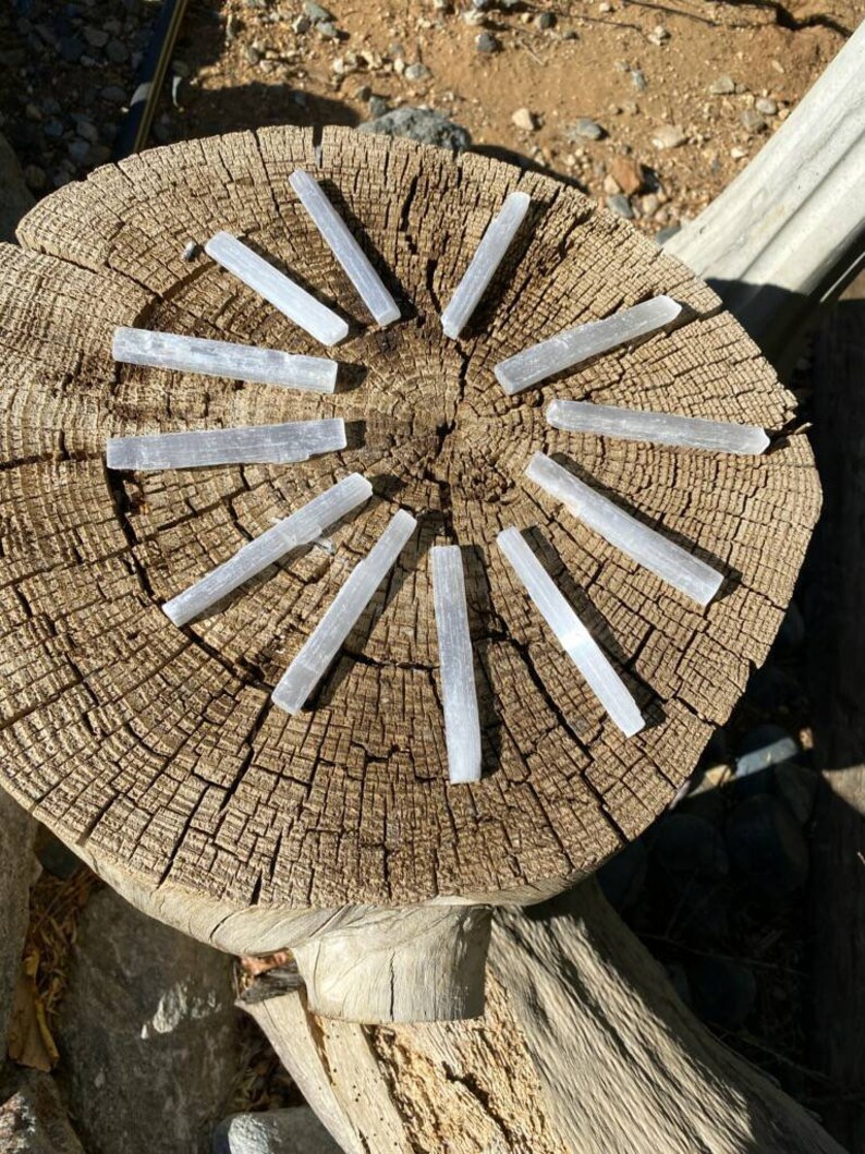 May include: Twelve elongated, translucent white selenite crystal wands arranged in a circular pattern. Each crystal features a fibrous, striated texture with a natural, raw appearance. The wands are positioned radially on a circular wooden log slice.