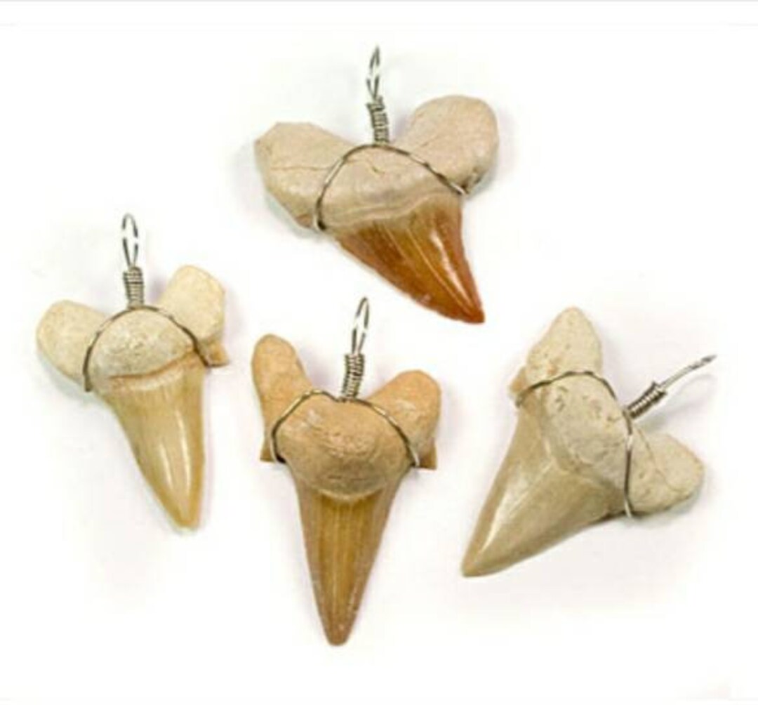 Shark Tooth Necklace, Fossilized Sharks Tooth Necklace, Boys Jewelry