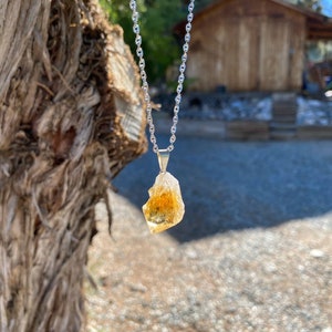 May include: A silver chain necklace with a raw, yellow citrine crystal pendant. The pendant is a natural, irregular shape with a translucent, golden hue.
