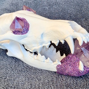 Amethyst Coyote Skull