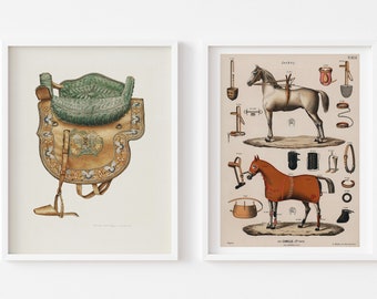 Equestrian vintage horse saddle -set of 2-antique horseback riding equipments-illustration poster-sign-fashion-framed art