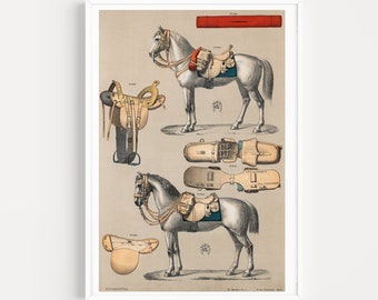 chromolithograph vintage horse saddle -hermes art deco-antique horseback riding equipments-illustration poster-sign-fashion-framed art