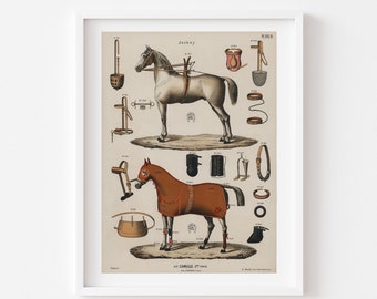 Equestrian vintage horse saddle -hermes art deco-antique horseback riding equipments-illustration poster-sign-fashion-framed art
