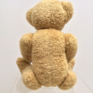 May include: A beige plush teddy bear sitting with its back to the camera. The bear has a fluffy, soft texture.