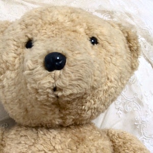 May include: A close-up of a beige teddy bear with black eyes and a black nose. The bear is lying on a white lace fabric.