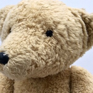 May include: A close-up of a beige teddy bear with black eyes and a black nose. The bear's fur is soft and fluffy.