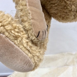 May include: Close-up of a beige teddy bear's foot with a stitched paw pad.