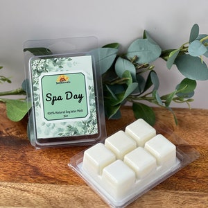 Spa Day Wax Melts, Clean Clamshell Wax Tart, Relaxing wax melt cubes for warmer, Fresh Home Scent, Natural Wax Tart Melt