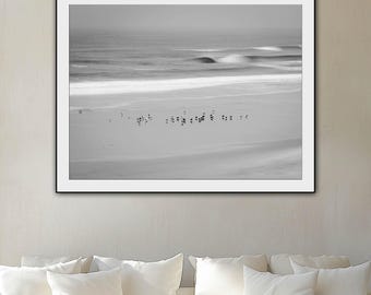 Black and White Seabirds on Beach – Minimalist Ocean Photography Print, Portugal Coastal Wall Art, Digital Download