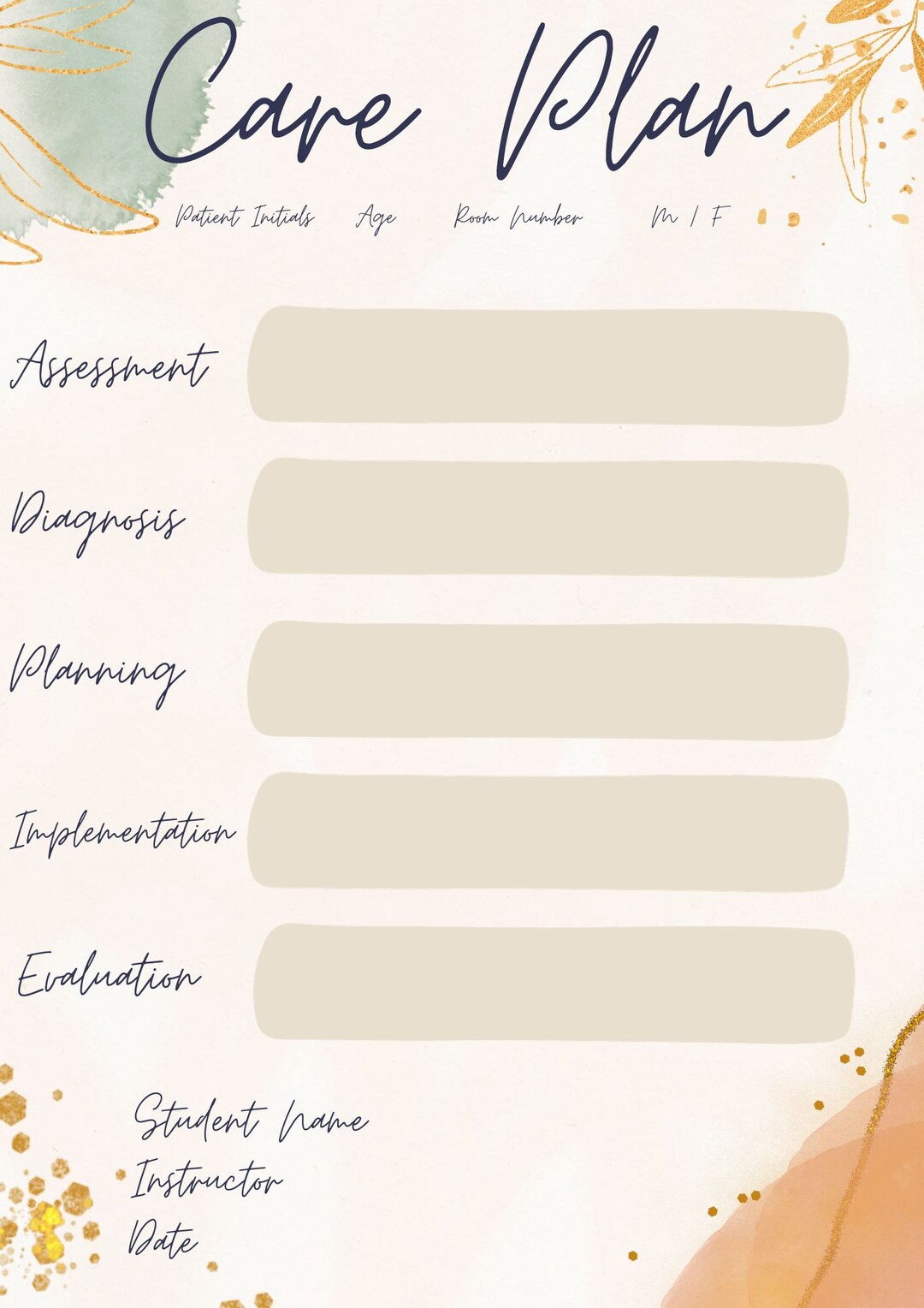 NURSING STUDENT Care Plan Nurse Organization Nursing School Care Plans