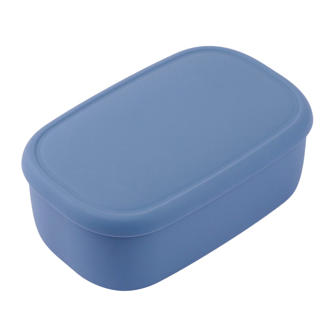 BLUE GINKGO Nesting Silicone Containers - Set of 3 Hard-Shell Silicone Food  Storage Containers | BPA Free, Airtight, Dishwasher and Freezer Safe