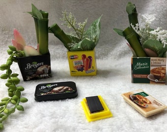 Mini food container cactus magnet!