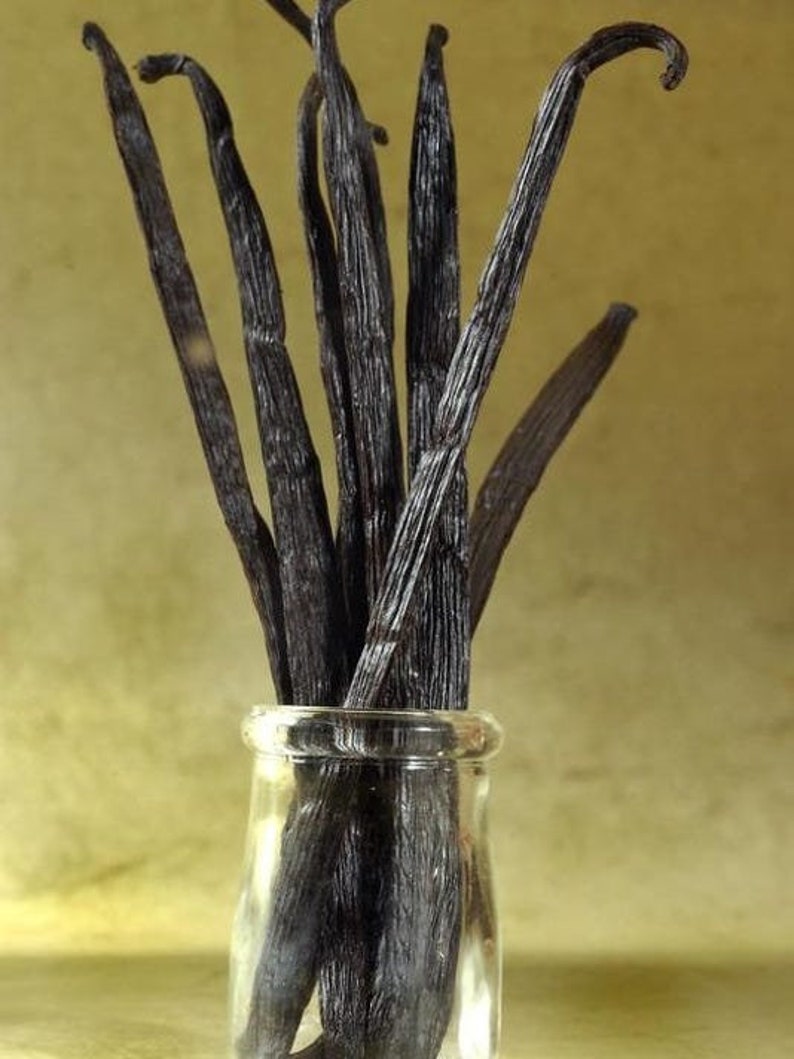 50 Madagascar Extract grade B Bourbon Vanilla Beans 57 Etsy