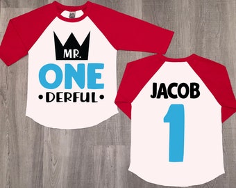 Onederful birthday boy shirt, 1st birthday shirt, onederful shirt, one birthday shirt, birthday one shirt, boy one shirt