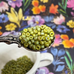 Olive Green | 15/0 Japanese Seed Beads | Matte, Gold Luster, Rainbow | Miyuki | 3.5g & 7.0g (SKU: 15-Miyuki-2033)