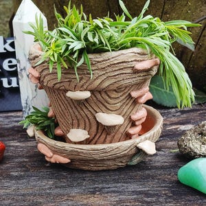 Cottagecore Mushroomcore hand sculpted and hand painted handmade planter, little planter, mushroom planter, cute planter, flower pot, plants