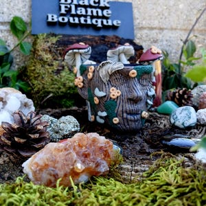 May include: A handcrafted, brown, face-shaped planter with mushroom accents and the text "Black Flame Boutique." The planter is surrounded by moss, crystals, and pinecones, creating a whimsical, natural aesthetic.