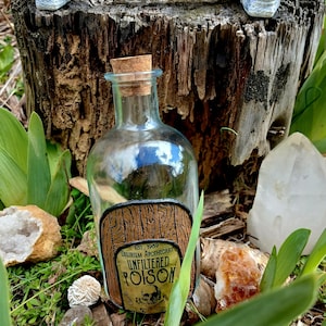 Poison bottle, potion bottle, skull bottle, glass bottle, vintage poison bottle, handmade bottle, skulls, poison, potions, Moon water, glass