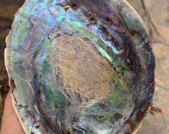 Paua Abalone Shell | Glowing Blues, Greens & Secret Flash of Colour • Perfect Smudge Stick Holder • Sacred Space Accent